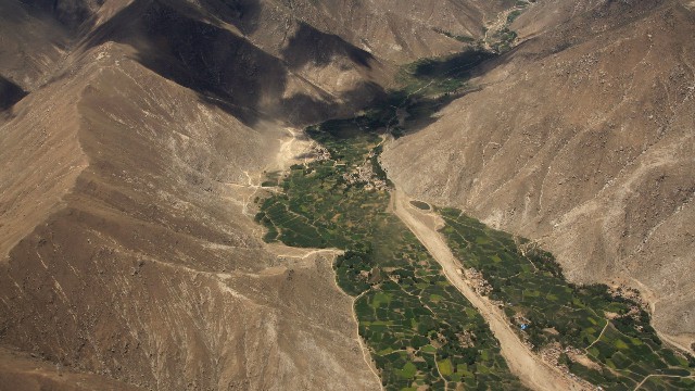 拼多多补单软件