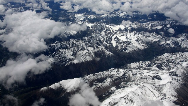 拼多多补单软件