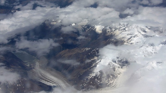 拼多多补单软件