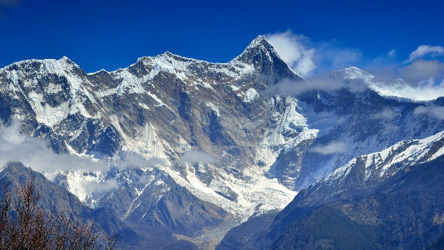 拼多多补单软件