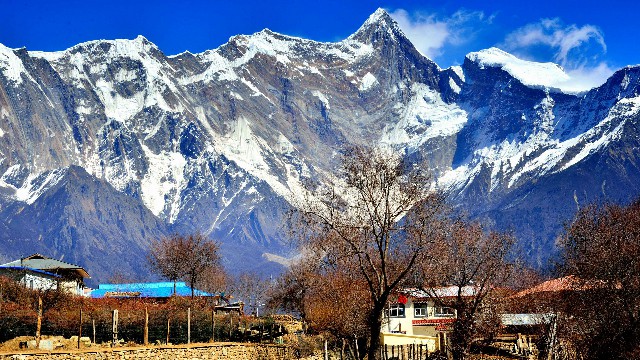 拼多多补单软件