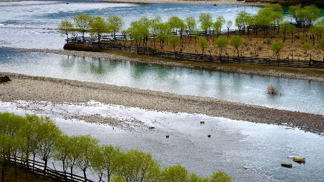 拼多多补单软件