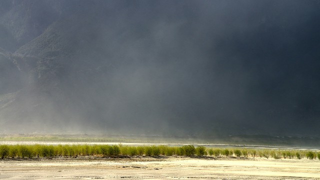 拼多多补单软件