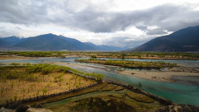 拼多多补单软件