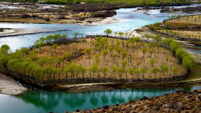 拼多多补单软件