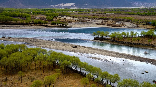 拼多多补单软件
