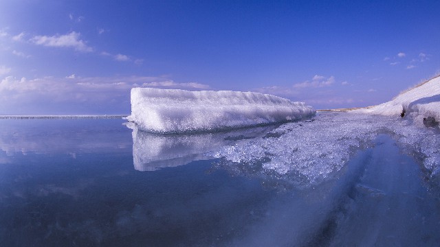 拼多多补单软件