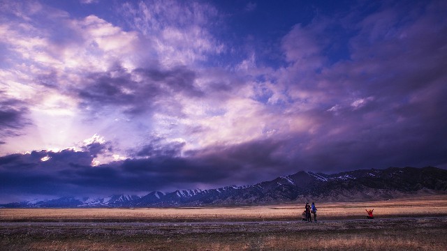 拼多多补单软件