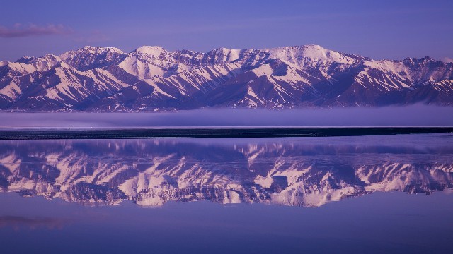 拼多多补单软件