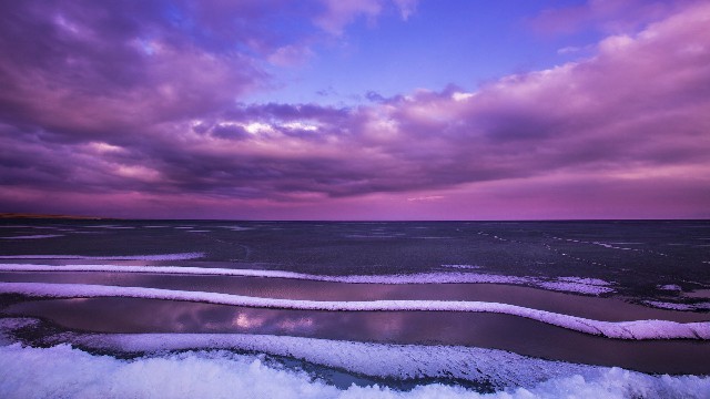 拼多多补单软件