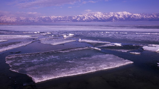 拼多多补单软件