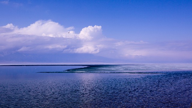 拼多多补单软件