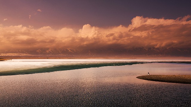 拼多多补单软件