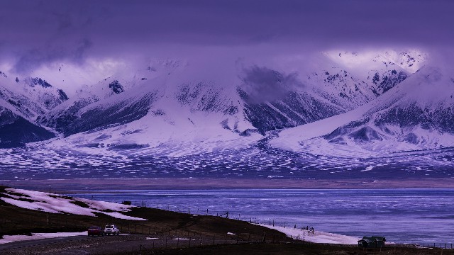 拼多多补单软件