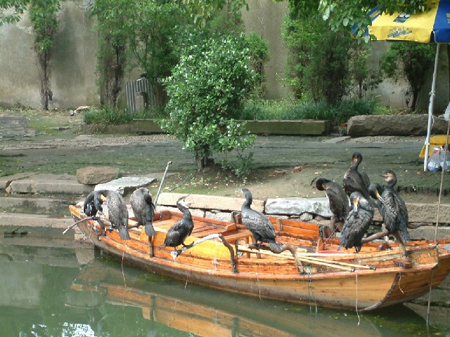 拼多多补单软件