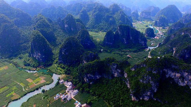 拼多多补单软件