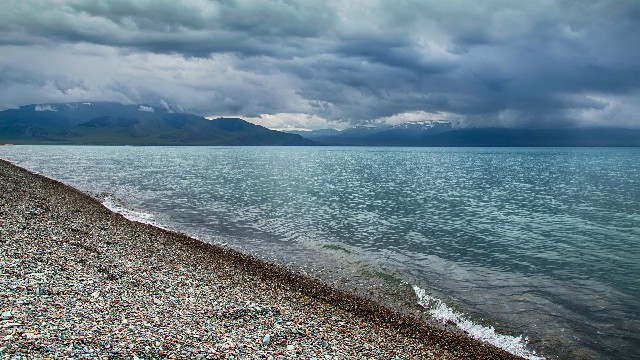 拼多多补单软件