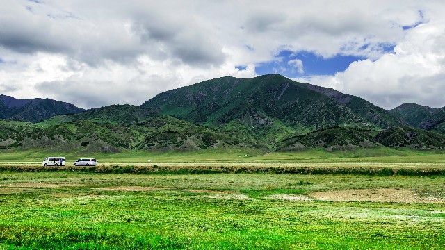 拼多多补单软件