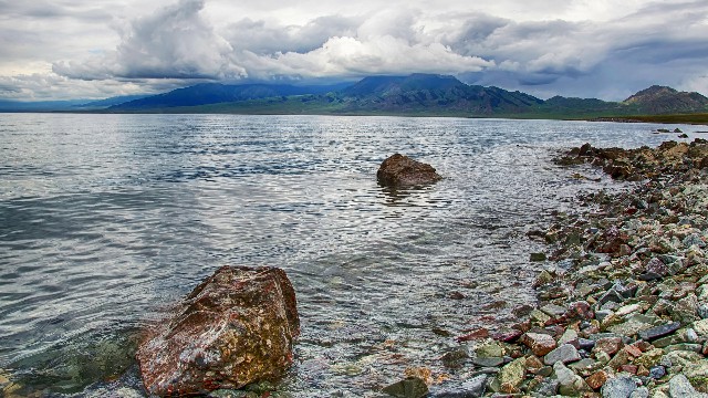 拼多多补单软件