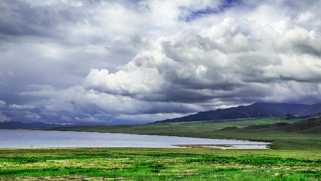 拼多多补单软件