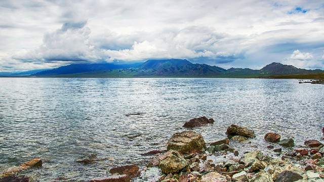 拼多多补单软件