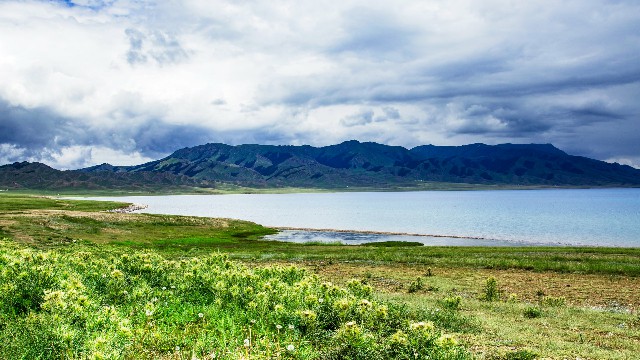 拼多多补单软件