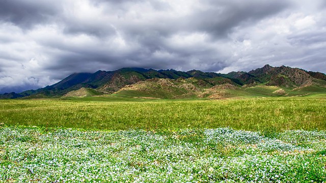 拼多多补单软件