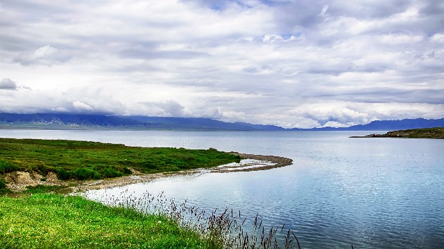 拼多多补单软件