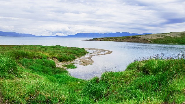 拼多多补单软件