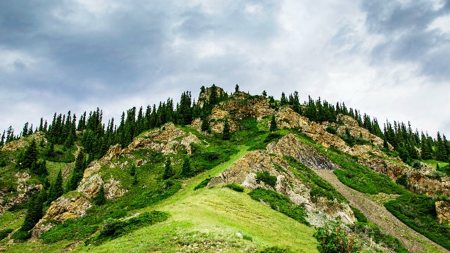 拼多多补单软件