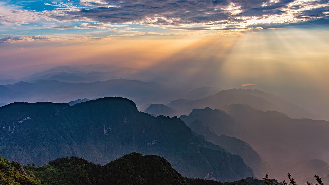拼多多补单软件
