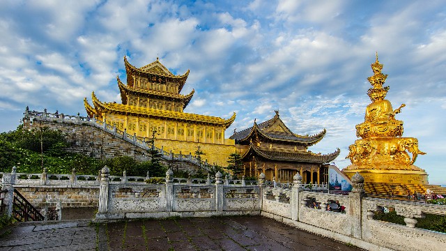 拼多多补单软件