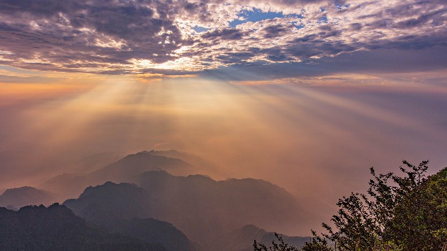 拼多多补单软件