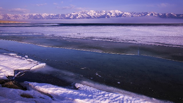 拼多多补单软件