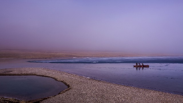 拼多多补单软件