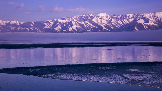 拼多多补单软件