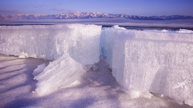 拼多多补单软件