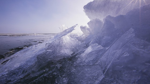 拼多多补单软件