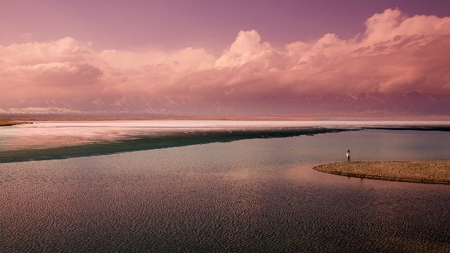 拼多多补单软件