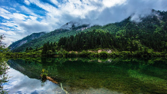 拼多多补单软件