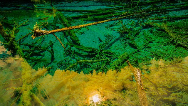 拼多多补单软件