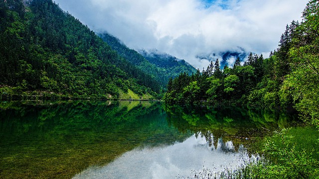 拼多多补单软件