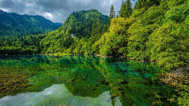 拼多多补单软件