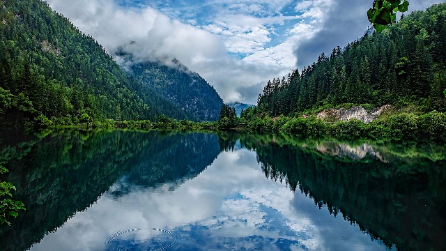 拼多多补单软件