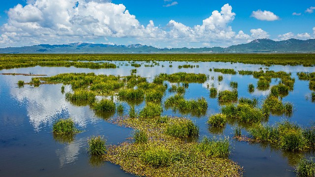 拼多多补单软件