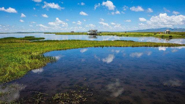 拼多多补单软件