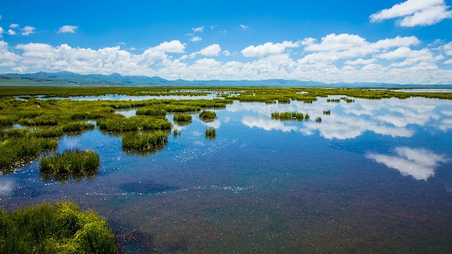 拼多多补单软件
