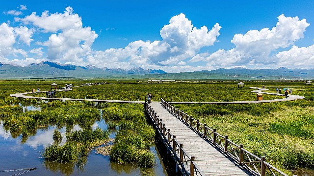 拼多多补单软件