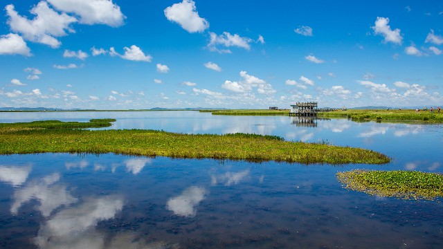 拼多多补单软件