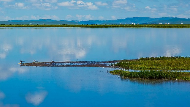 拼多多补单软件